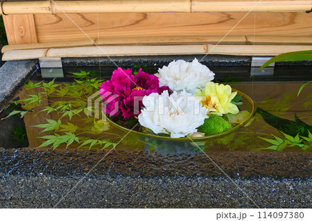 西新井大師 美しい花手水(東京都足立区) 西新井大師 美しい花手水(東京都足立区) 114097380