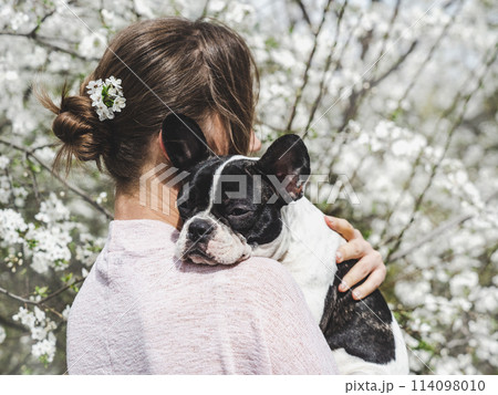 Cute puppy lying on a woman's shoulder 114098010