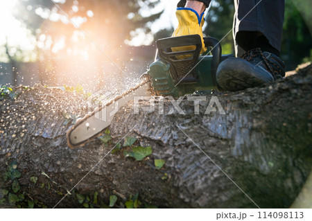A man in uniform cuts an old tree in the yard with an electric saw. A man in uniform cuts an old tree in the yard with an electric saw. 114098113