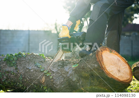A man in uniform cuts an old tree in the yard with an electric saw. 114098130