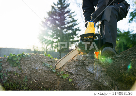A man in uniform cuts an old tree in the yard with an electric saw. 114098156