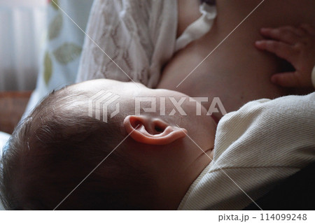 Young woman breastfeeding her baby at home close up 114099248