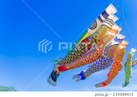 こいのぼり・5月 イメージ 114099415