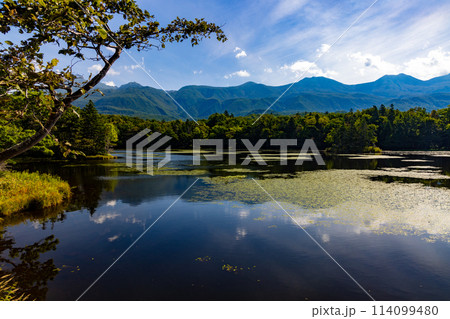 秋の知床五胡を望む 114099480