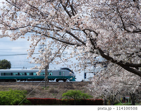 春に誘われて 114100508