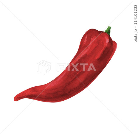 Red pepper, watercolor hand painted, isolated on white background 114101232