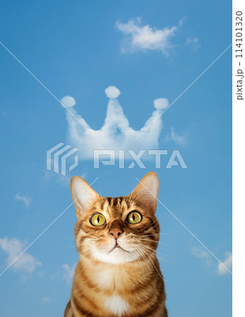 Funny red cat against the sky with a crown of clouds. Funny red cat against the sky with a crown of clouds. 114101320