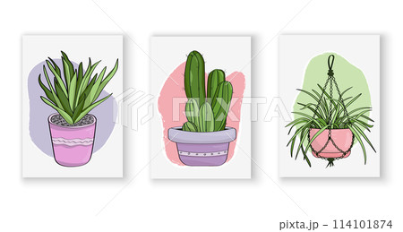 A collection of hand-drawn posters depicting domestic plants. Bright posters depicting succulent, cactus, palm trees in cartoon style. Vector illustrations for printing, posters, postcards, decoration A collection of hand-drawn posters depicting domestic plants. Bright posters depicting succulent, cactus, palm trees in cartoon style. Vector illustrations for printing, posters, postcards, decoration 114101874