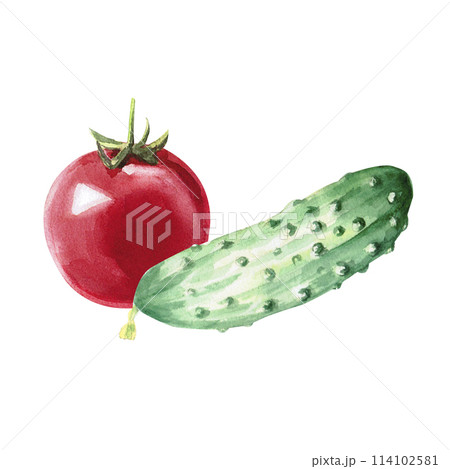 Red ripe tomato and green cucumber in watercolor illustration on a white background. Hand drawn illustration of cucumber and tomato for cookbooks, recipes and natural products. Red ripe tomato and green cucumber in watercolor illustration on a white background. Hand drawn illustration of cucumber and tomato for cookbooks, recipes and natural products. 114102581