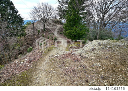 播磨「長水城」の石垣と曲輪 114103256