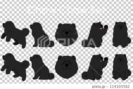 シンプルで可愛い黒いチャウチャウのイラストセット 114103582