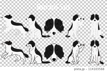 簡單可愛的白色和黑色獵狼犬插畫集 114103588