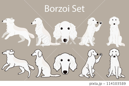 シンプルで可愛い白いボルゾイのイラストセット 114103589