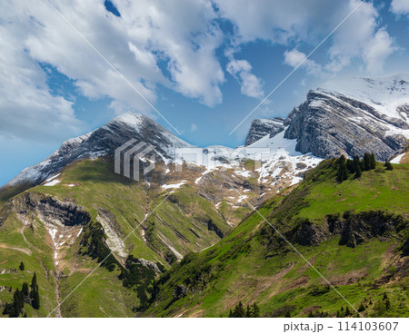 Alpine view (Vorarlberg,Austria) 114103607