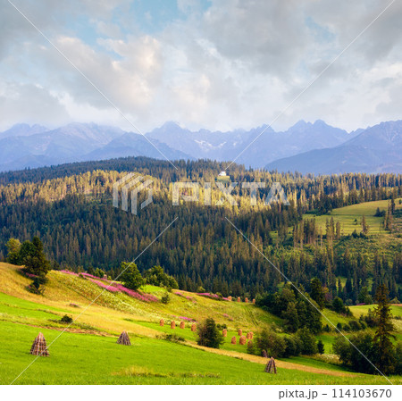 Summer mountain country view Summer mountain country view 114103670