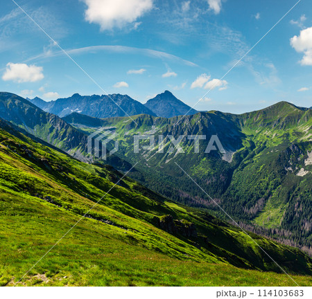 Summer Tatra Mountain, Poland Summer Tatra Mountain, Poland 114103683