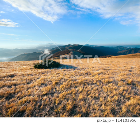 Morning autumn mountain landscape Morning autumn mountain landscape 114103956