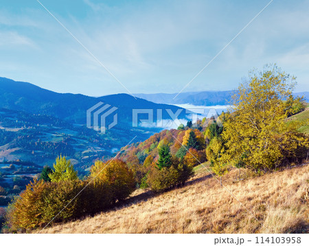 autumn mountain forest autumn mountain forest 114103958