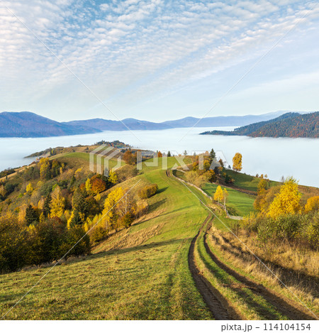 Morning foggy clouds in autumn mountain countryside.  Ukraine, Carpathian Mountains, Transcarpathia. Peaceful picturesque traveling, seasonal, nature and countryside beauty concept scene. 114104154
