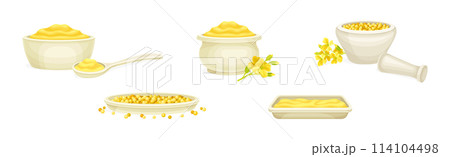 Mustard Yellow Spice and Condiment Vector Set 114104498