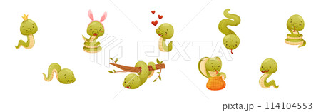 Cute Green Snake Funny Wild Baby Reptile Vector Set 114104553