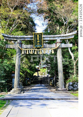 春・桜咲く頃… 塩竈みなと祭の出発点【鹽竈神社】 114105226