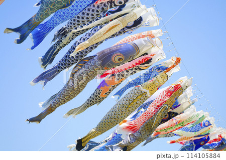 鯉のぼり 114105884