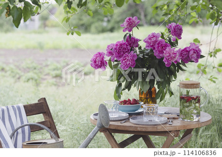 garden and tea party 114106836