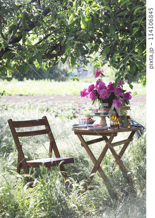 garden and tea party 114106845