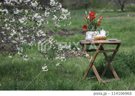 garden and tea party 114106968