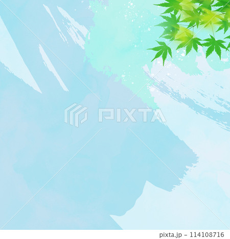 さわやかな夏のイメージ背景 114108716