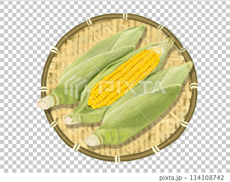 Corn (3 corn) with colander 114108742