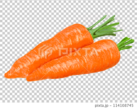 にんじん(2本) にんじん(2本) 114108745