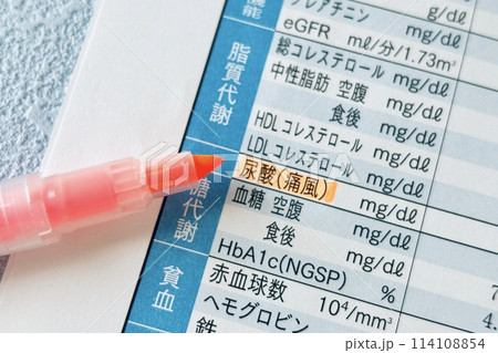 健康診断検査項目の尿酸値にマーク 健康診断検査項目の尿酸値にマーク 114108854