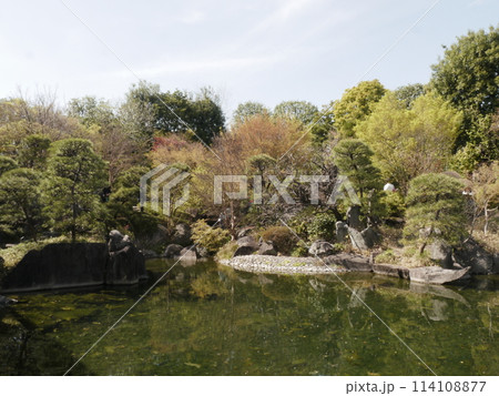 春の目白庭園 114108877