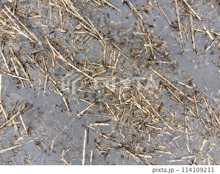 drone view above an agriculture field with standing water in the spring.  114109211