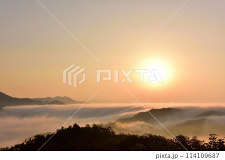 田之原展望台からの美郷町の両国おろし（雲海） 114109687