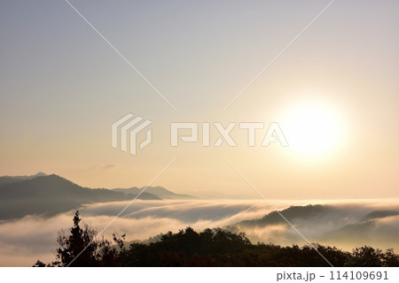 田之原展望台からの美郷町の両国おろし（雲海） 114109691