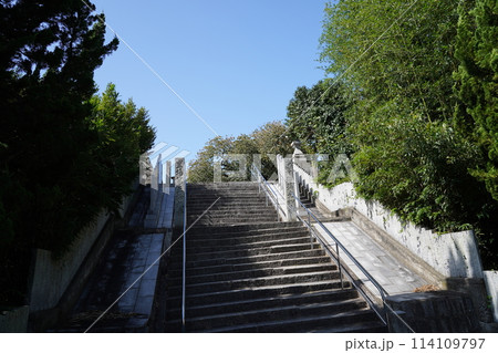 四国　お遍路　国分寺入口の階段 114109797