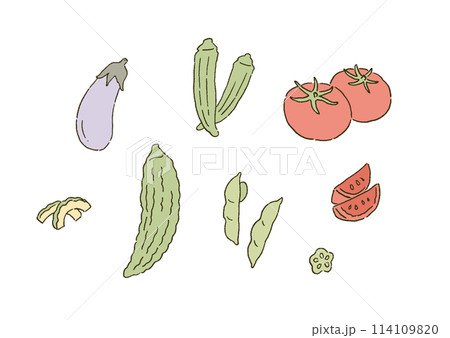 シンプルなタッチ おいしそうな夏野菜のイラストセット シンプルなタッチ おいしそうな夏野菜のイラストセット 114109820