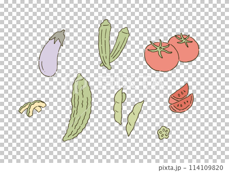 シンプルなタッチ おいしそうな夏野菜のイラストセット シンプルなタッチ おいしそうな夏野菜のイラストセット 114109820
