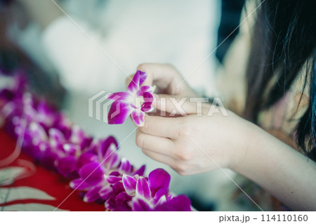 ハワイ、ワイキキにて蘭のレイ作りを体験する若者 ハワイ、ワイキキにて蘭のレイ作りを体験する若者 114110160