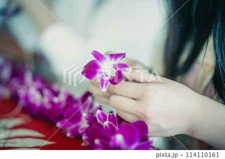 ハワイ、ワイキキにて蘭のレイ作りを体験する若者 ハワイ、ワイキキにて蘭のレイ作りを体験する若者 114110161