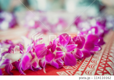 ハワイ、ワイキキにて蘭のレイ作りを体験する若者 114110162