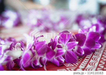 ハワイ、ワイキキにて蘭のレイ作りを体験する若者 114110163