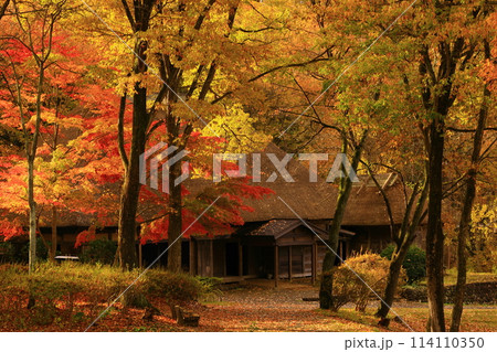 岩手県北上市 紅葉のみちのく民俗村 岩手県北上市 紅葉のみちのく民俗村 114110350