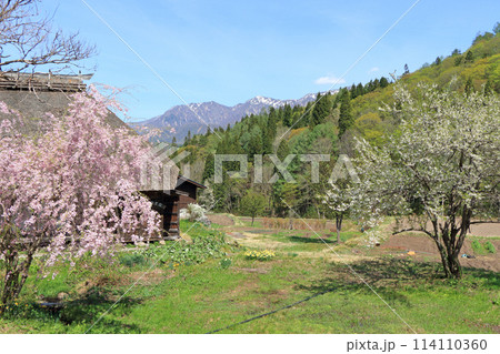 春の千国街道 小谷村沓掛の牛方宿 春の千国街道 小谷村沓掛の牛方宿 114110360