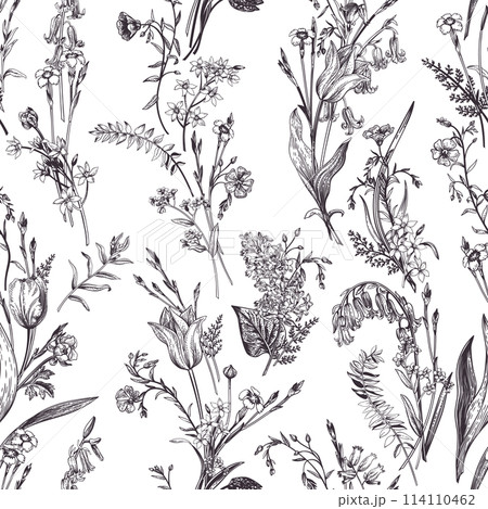 Seamless floral pattern with garden and wild plants. Graphic natural background. Black outline. 114110462
