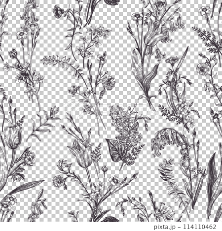 Seamless floral pattern with garden and wild plants. Graphic natural background. Black outline. 114110462