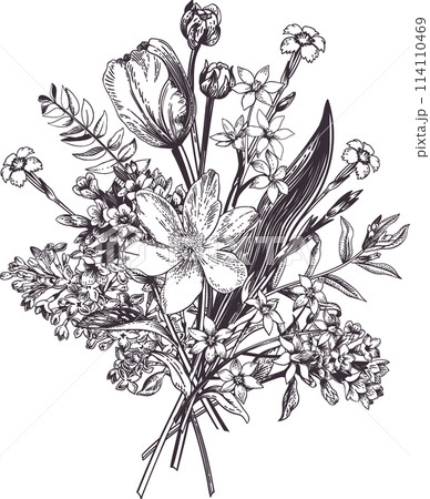 Spring bouquet. Botanical vintage illustration....のイラスト素材 [114110469] -  PIXTA